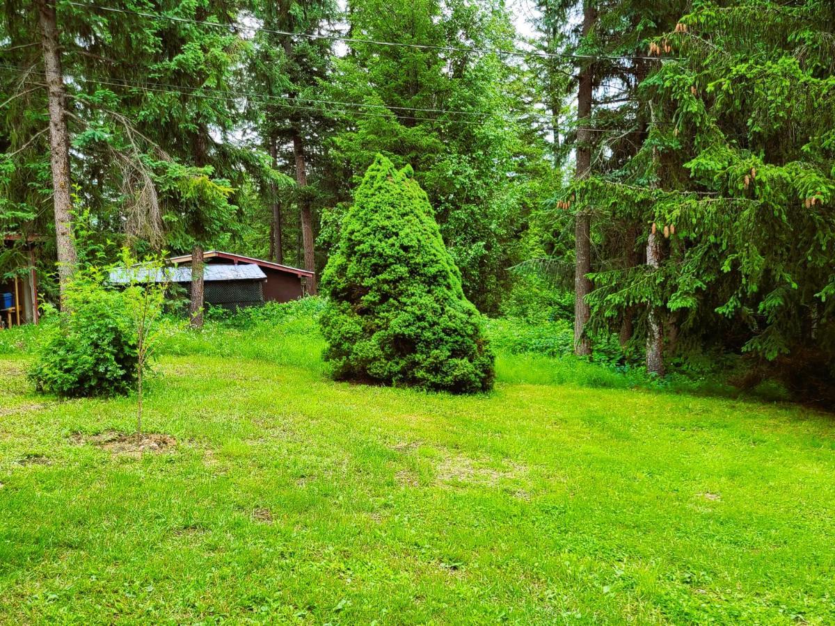 Woodcrest Bed And Breakfast Clearwater Esterno foto